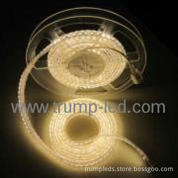 Rice Rope Light(Christmas Lighting, Holiday Lighting,Rope Light)